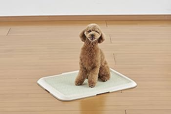 Amazon.co.jp: ボンビアルコン (Bonbi) 薄型しつけるトレー